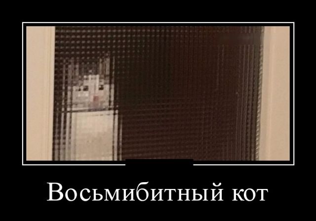 Демотиваторы (30 фото)