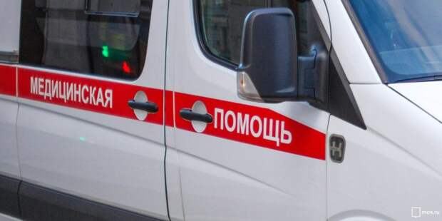 На улице Генерала Глаголева во время грозы на прохожую упало дерево