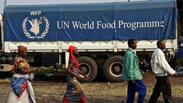 Поголодают, затем подчинятся? Запад рушит продовольственную программу ООН