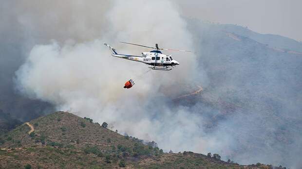 Лесные пожары сожгли 9 тыс. га леса в Испании