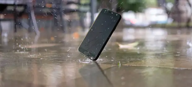 Роскомнадзор заблокирует доступ к приложению-рации Zello