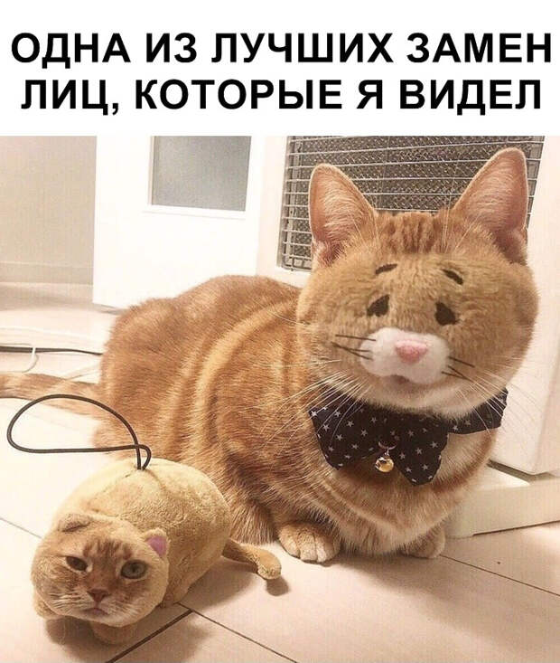 Мемы и картинки на субботу