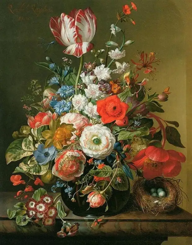  Rachel Ruysch (1664  1750).   