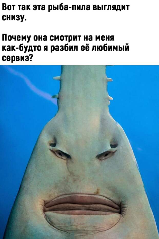 Юмор из интернета 570