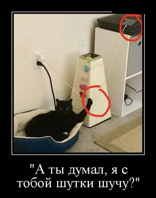 Демотиваторы (30 фото)
