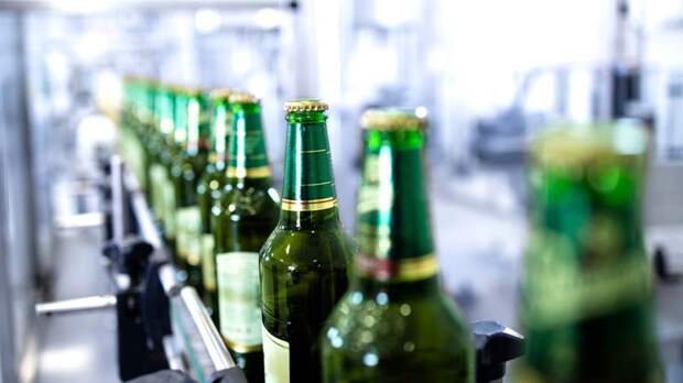 Россия нарастила импорт пива из Чехии