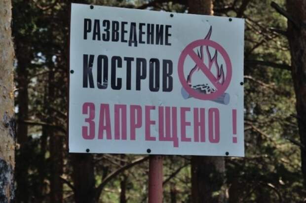 Если костры под запретом: как здорово отдохнуть на природе, не разводя огонь