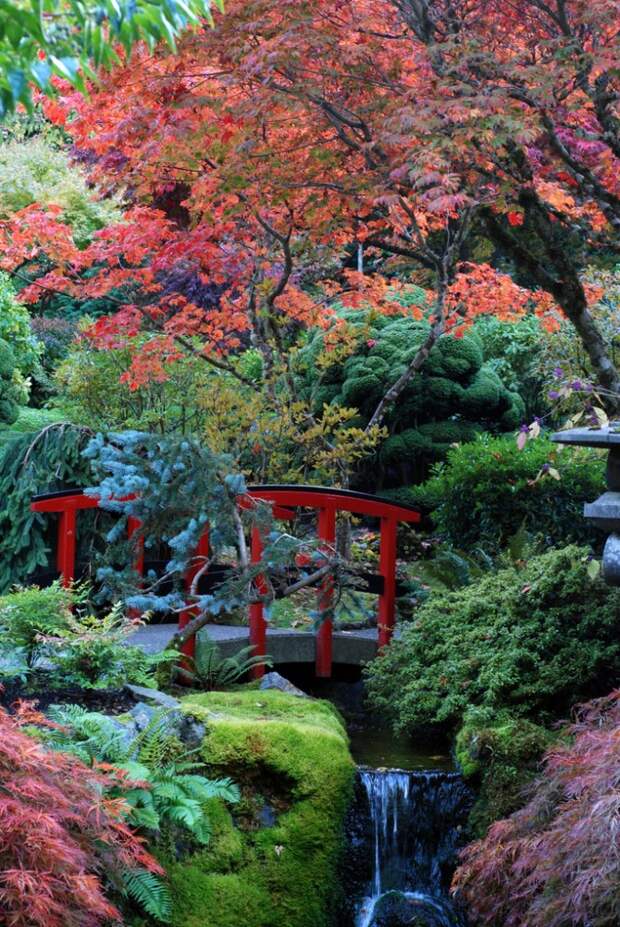 Сады Бутчартов (Butchart Gardens), остров Ванкувер, Канада