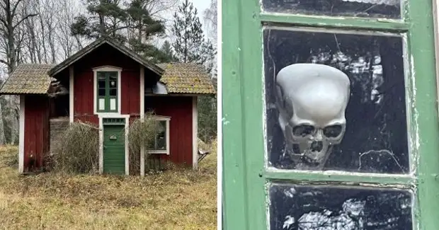 Разные неожиданные и жуткие находки в лесу