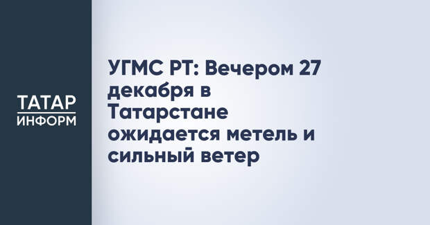 УГМС РТ: Вечером 27 декабря в Татарстане ожидается метель и сильный ветер