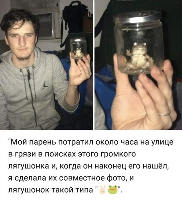 картинки