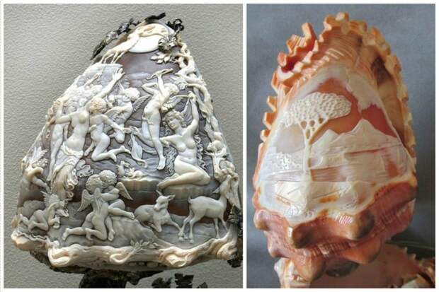 Морские раковины как произведения искусства искусство, красота, морские раковины, невероятное, умельцы