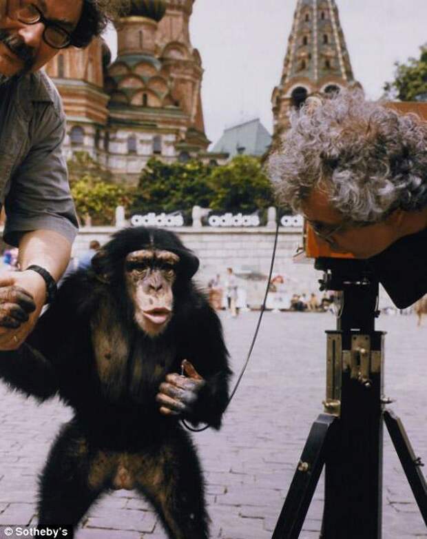 В этой серии фотографий 1998 года Комар и Меламид задали вопрос о роли человеческой расы на земле. СССР, коллекция, фото