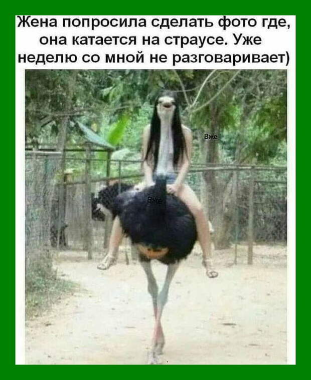У незамужней женщины во всём виноваты козлы...