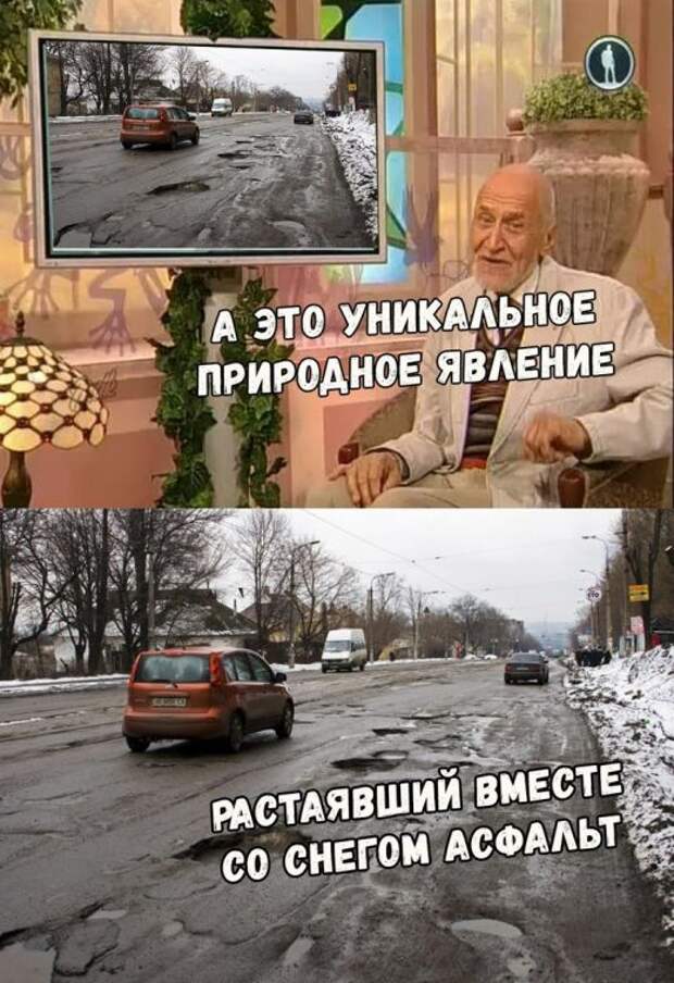 Подборка картинок. Дневной выпуск (25 фото)