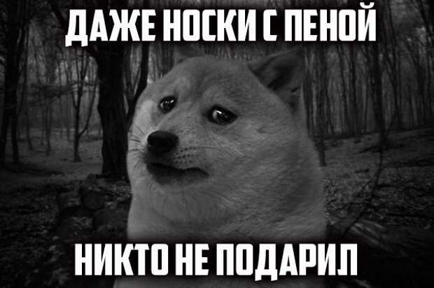 Смешные картинки с надписями прикол, юмор