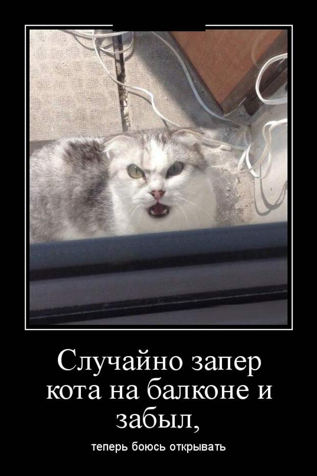 www.vsyako.net