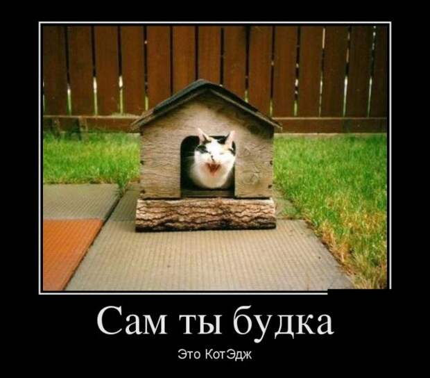 Демотиваторы (30 фото)