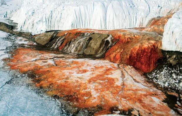 Кровавый водопад на леднике Тейлора: почему он имеет такой жуткий вид