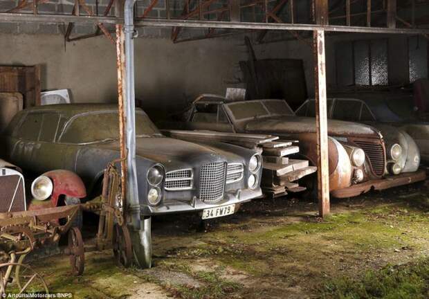 Заброшенные классические автомобили. | Фото: dailymail.co.uk.