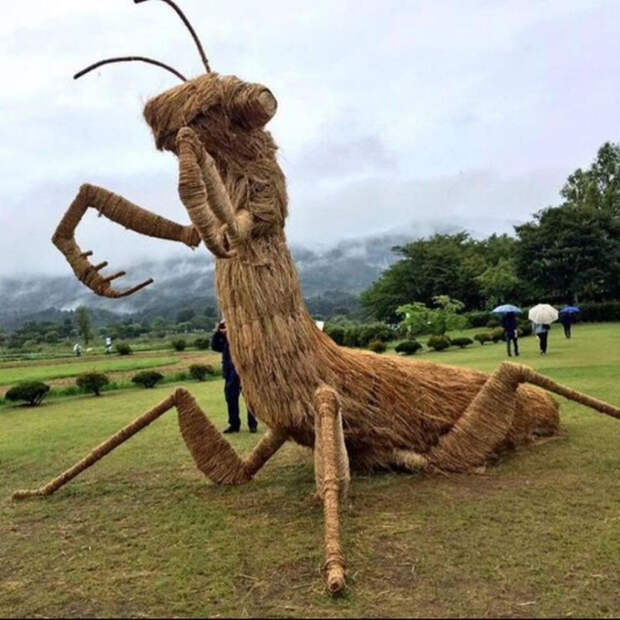 YGKfbr_vElo (700x700, 442Kb)