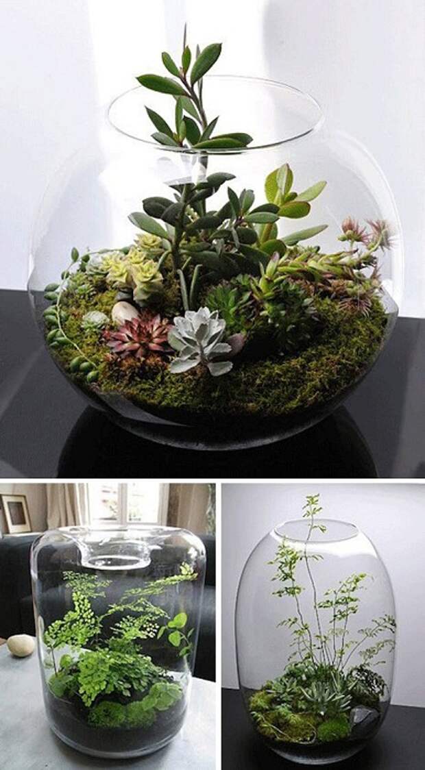 Крутой вариант создать мини-сад в вазе, что может быть лучше.
