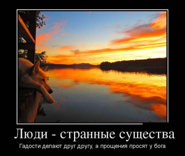 Демотиваторы (30 фото) Демотиваторы (30 фото)