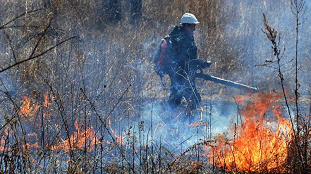 В Нижегородской области ввели режим ЧС из-за пожароопасной обстановки