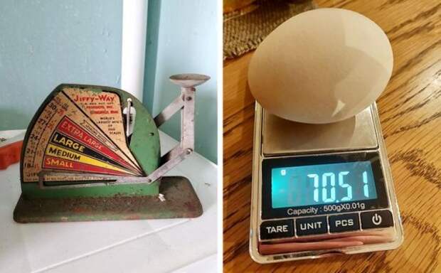 Винтажные и современные весы для яиц