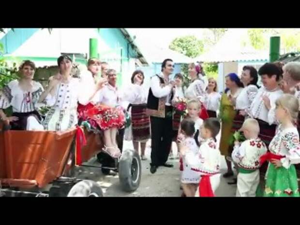 http://cs504523.vk.me/u117020041/video/l_c42229de.jpg