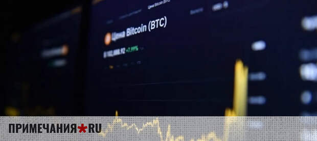 За нелегальный криптообмен в России хотят ввести уголовную ответственность — зампред ЦБ