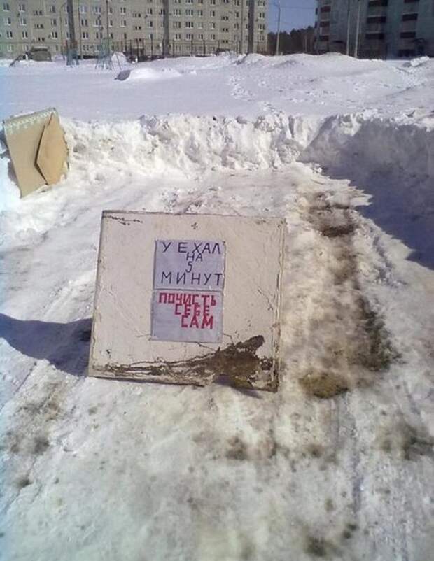 автоприколы