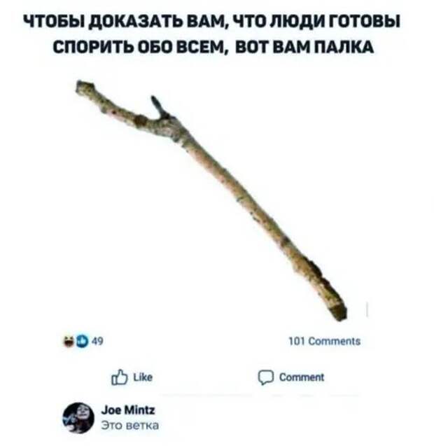 Прикольные и смешные картинки