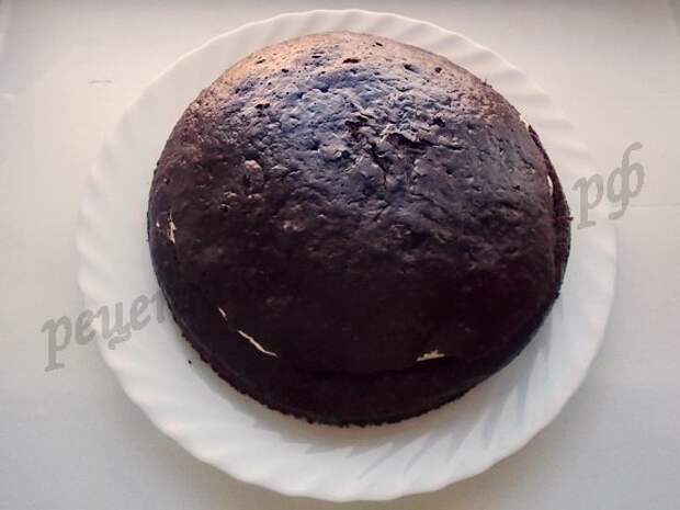накрываем торт верхним коржом