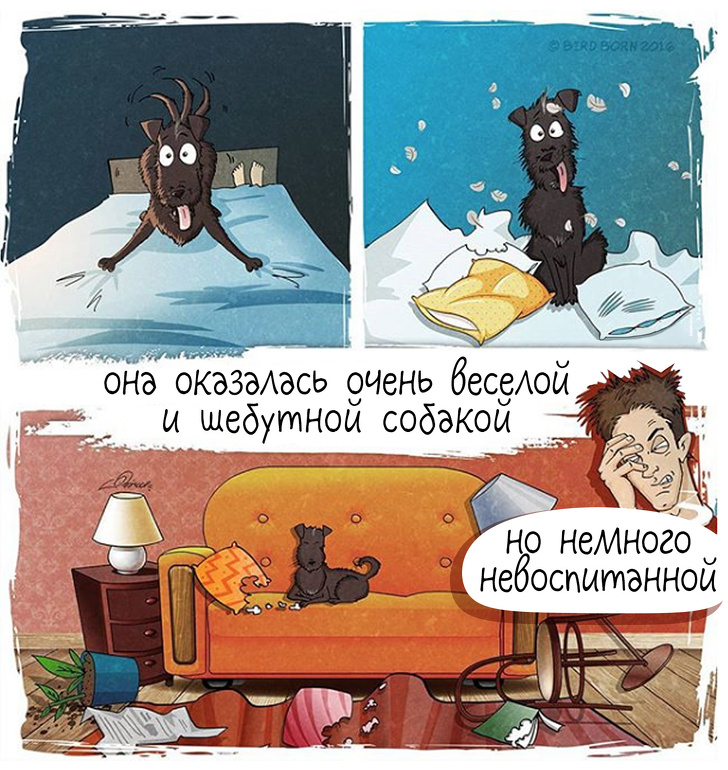 Вот как меняется ваша жизнь, если взять собаку из приюта