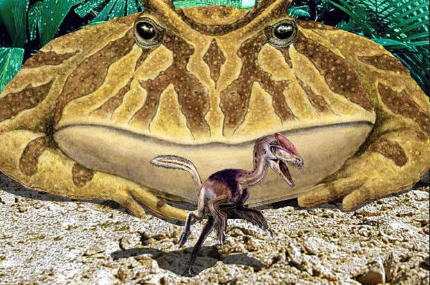 Древняя лягушка могла охотиться на динозавров