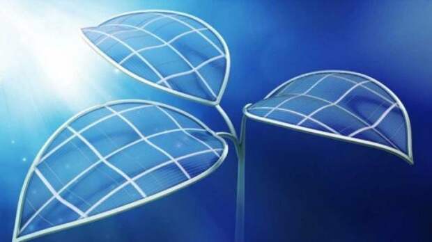14. Искусственные листья, преобразующие углекислый газ и солнечный свет в топливо Reired, прогноз, технологии