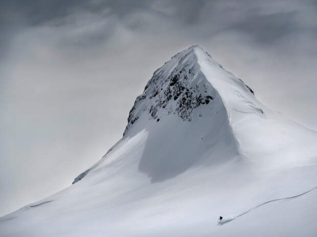 Лучшие фотографии с конкурса Nature Conservancy