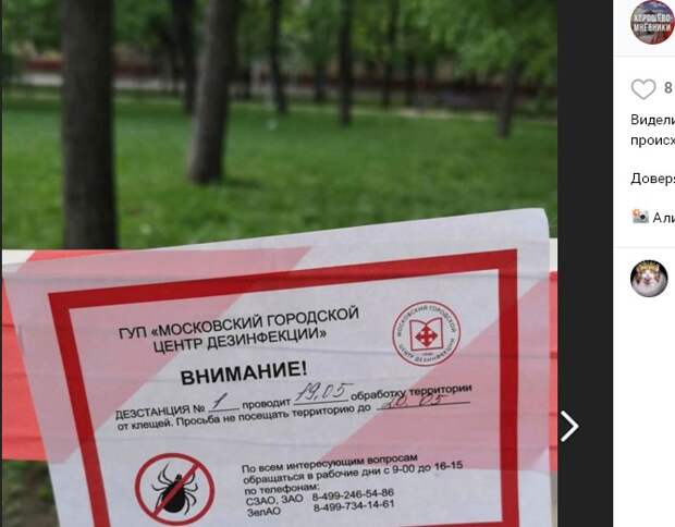 Мгцд