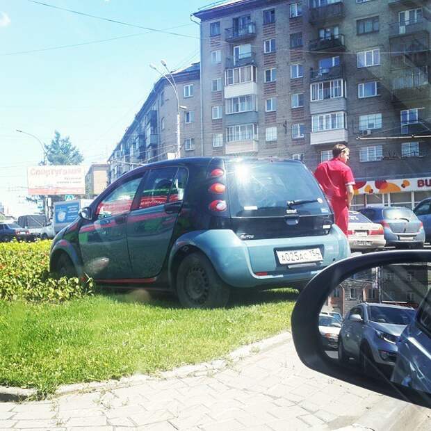Женщины, что творится в ваших головах? девушки, женщины, логика, прикол, юмор