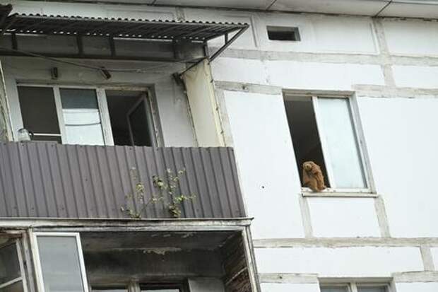 В Краснодарском крае отремонтируют 586 многоквартирных домов и заменят 197 лифтов