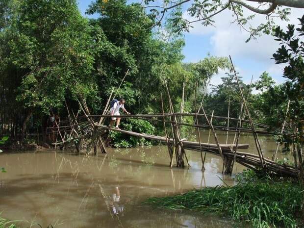 5. "Мосты обезьян", Вьетнам