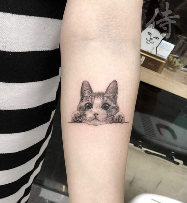 Cat Tattoo