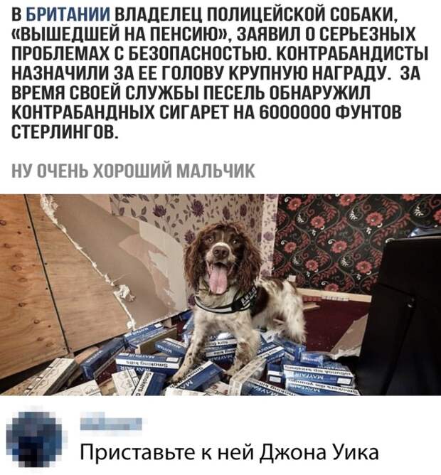 www.vsyako.net