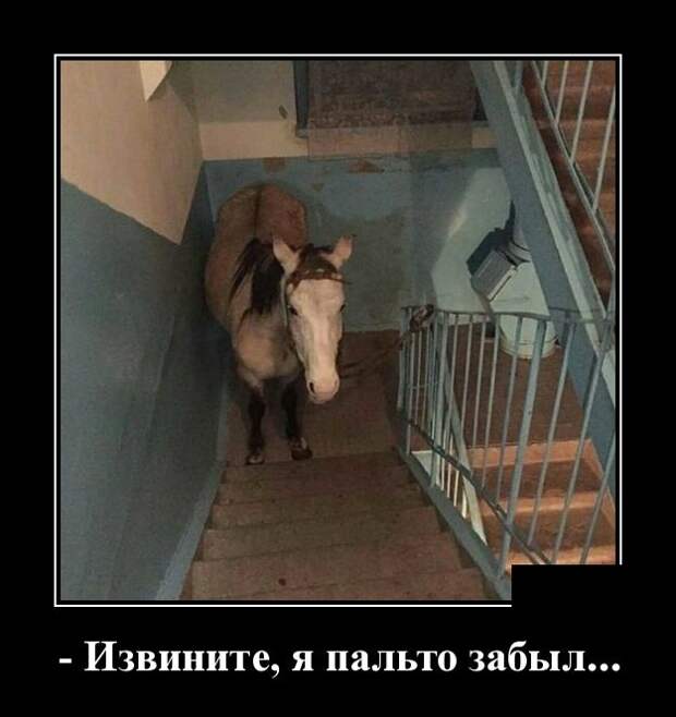Демотиваторы (30 фото)