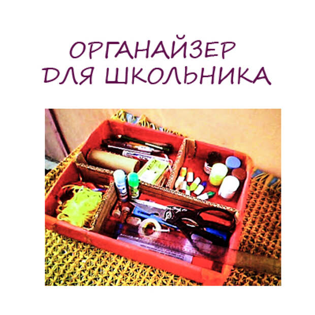 огранайзер для школьника
