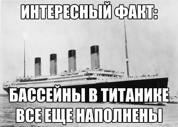 Смешные картинки с надписями прикол, юмор