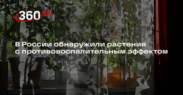 В России обнаружили растения с противовоспалительным эффектом