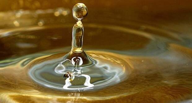 Власти пообещали, что бензин в текущем году не подорожает