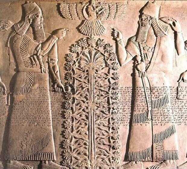 Древо жизни. Изображение взято с сайта: https://images.forwardcdn.com/image/1300x/center/images/cropped/sumerian-tree-of-life-1580747161.jpg